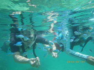 サンゴの森でシュノーケリング_沖縄　海遊倶楽部ツアー