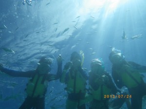 子供・こども・コドモ！