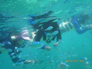 サンゴの森でシュノーケリング