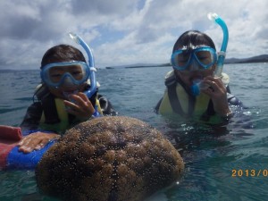 海の生物_マンジュウヒトデ