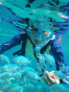 熱帯魚とシュノーケリング♪