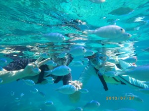 熱帯魚とシュノーケリング