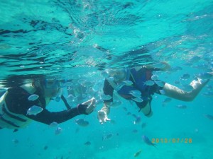 熱帯魚に夢中～☆