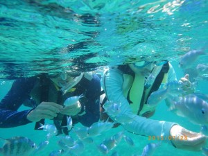 沖縄ちゅら海　ラブラブ　シュノーケリング♪