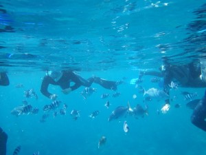 沖縄の海でシュノーケリング