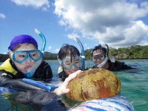 マンジュウヒトデ