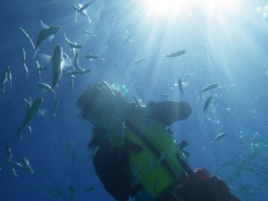 熱帯魚と一緒にシュノーケリング♪