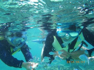 サンゴと熱帯魚の海でシュノーケリング