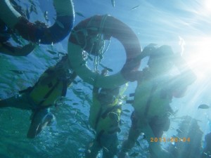 シュノーケリング