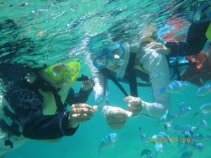 熱帯魚とシュノーケリング♪