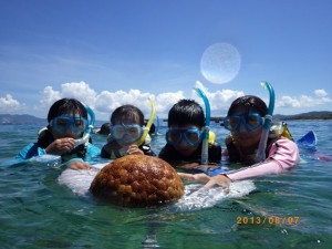 マンジュウヒトデにびっくり?