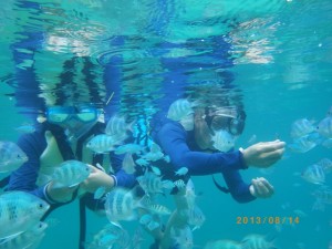 雨降ってもキレイです♪