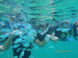 熱帯魚とシュノーケリング