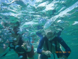 ベテランシュノーケラー☆