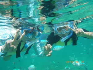 可愛い熱帯魚とシュノーケリング♪