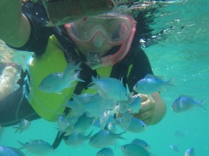 お魚いっぱいシュノーケリング♪