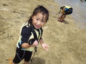 やっぱりナマコ人気♪