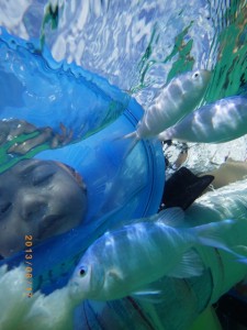 3才のおこちゃまは箱メガネ～♪