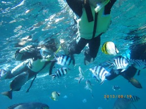 真栄田岬でシュノーケル