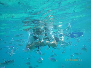 熱帯魚がもりだくさん！