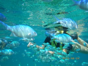 カヤック＆シュノーケルツアー写真＿海遊倶楽部