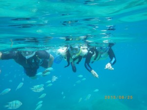 熱帯魚とシュノーケリング
