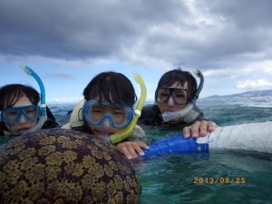 マンジュウヒトデ～