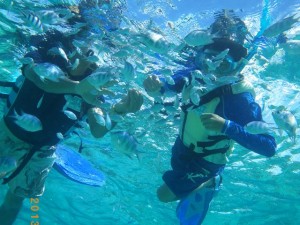 サンゴの森でシュノーケリング♪
