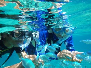 透明度抜群！！