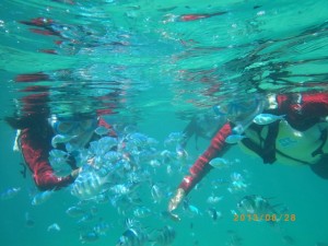 シュノーケリング上達したねー♪