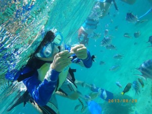 熱帯魚とシュノーケリング♪