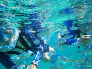 サンゴの森でシュノーケリング♪