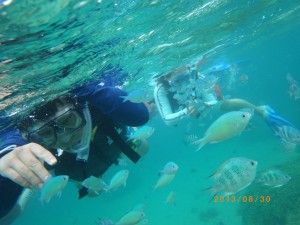 シュノーケリングたっぷり！