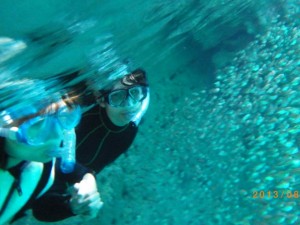 洞窟にすむ魚～