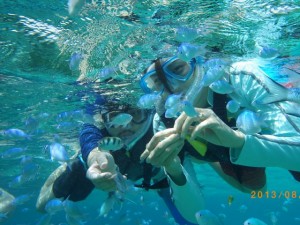 かわいい熱帯魚とシュノーケリング♪