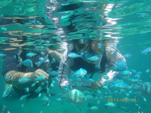 サンゴの森でシュノーケリング♪