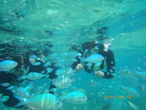 サンゴの森でシュノーケリング