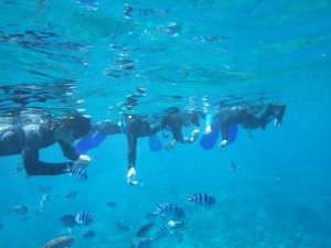 洞窟の外でたっぷりシュノーケリング