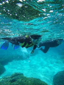 サンゴの森でシュノーケリング