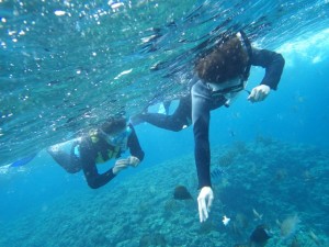 青の洞窟の外でシュノーケリング