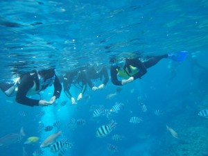 洞窟の外でシュノーケリング