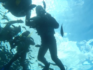 外洋でもたっぷりシュノーケリング_海遊倶楽部ツアー