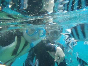 熱帯魚とシュノーケリング　ロクセンスズメダイ