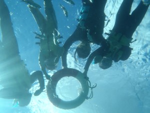 スタッフが素潜りでパシャリ