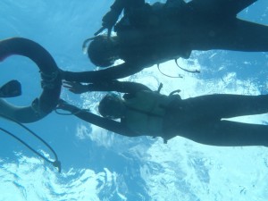 スタッフが下からパシャリ