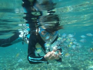 サンゴの海でシュノーケリング♪
