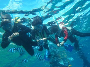 真栄田岬でシュノーケリング