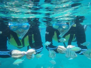 カヤック＆シュノーケルツアー写真③