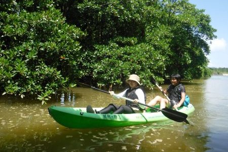 マングローブカヤック画像　海遊倶楽部＿沖縄