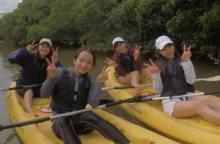 マングローブカヤック画像　海遊倶楽部